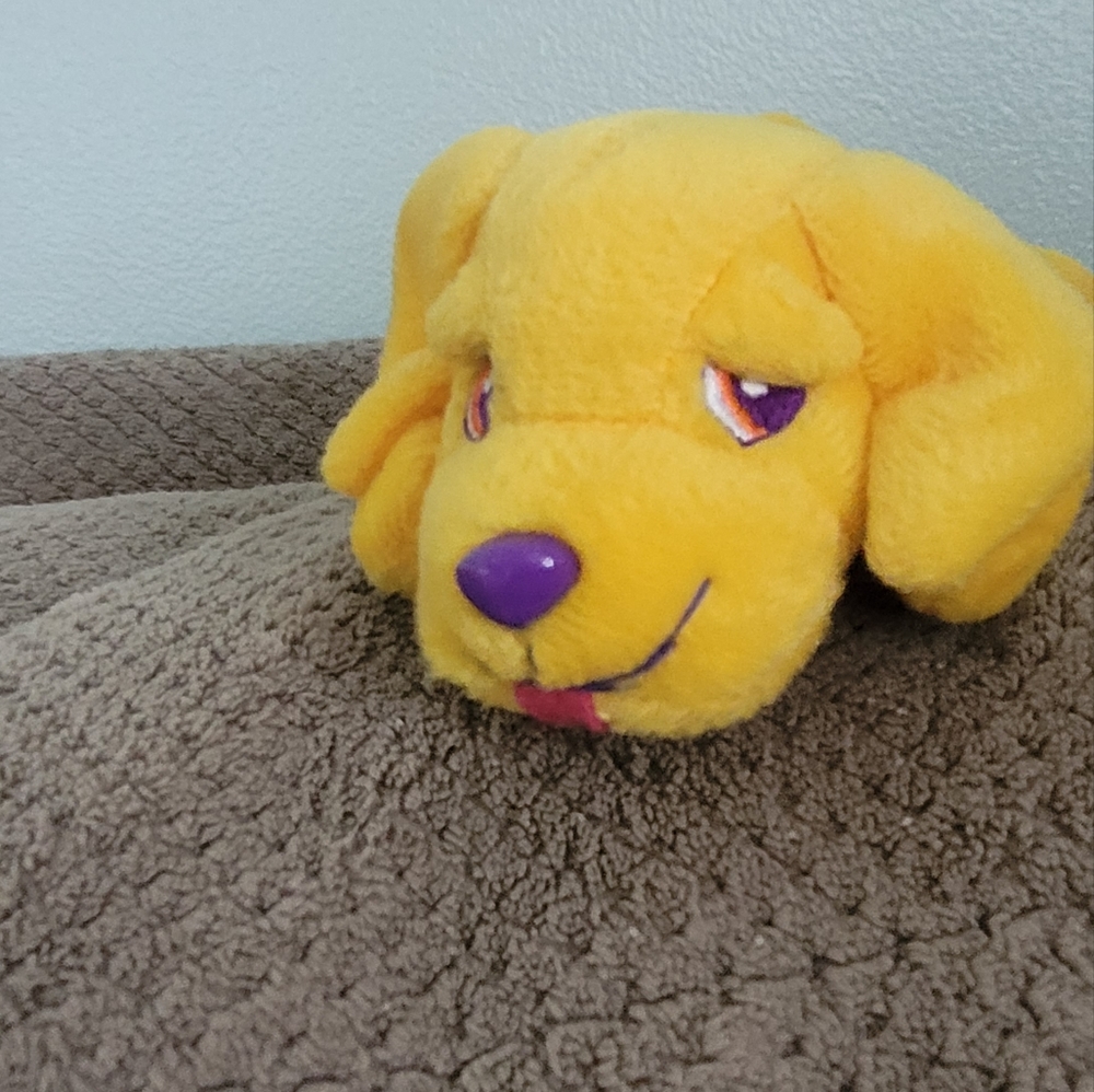 Casey Lisa Frank Golden retriever